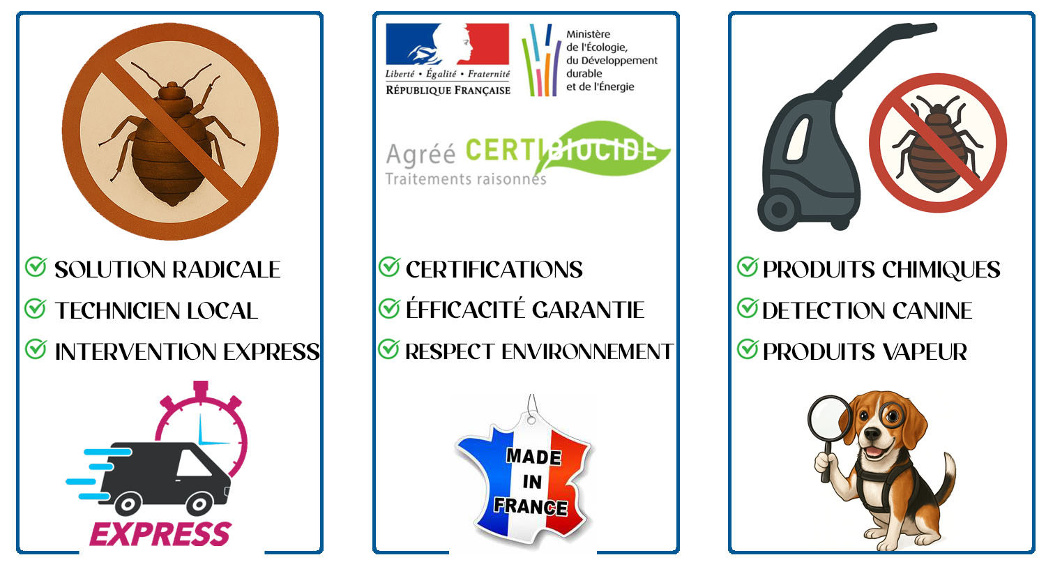 Punaises de Lit Antony