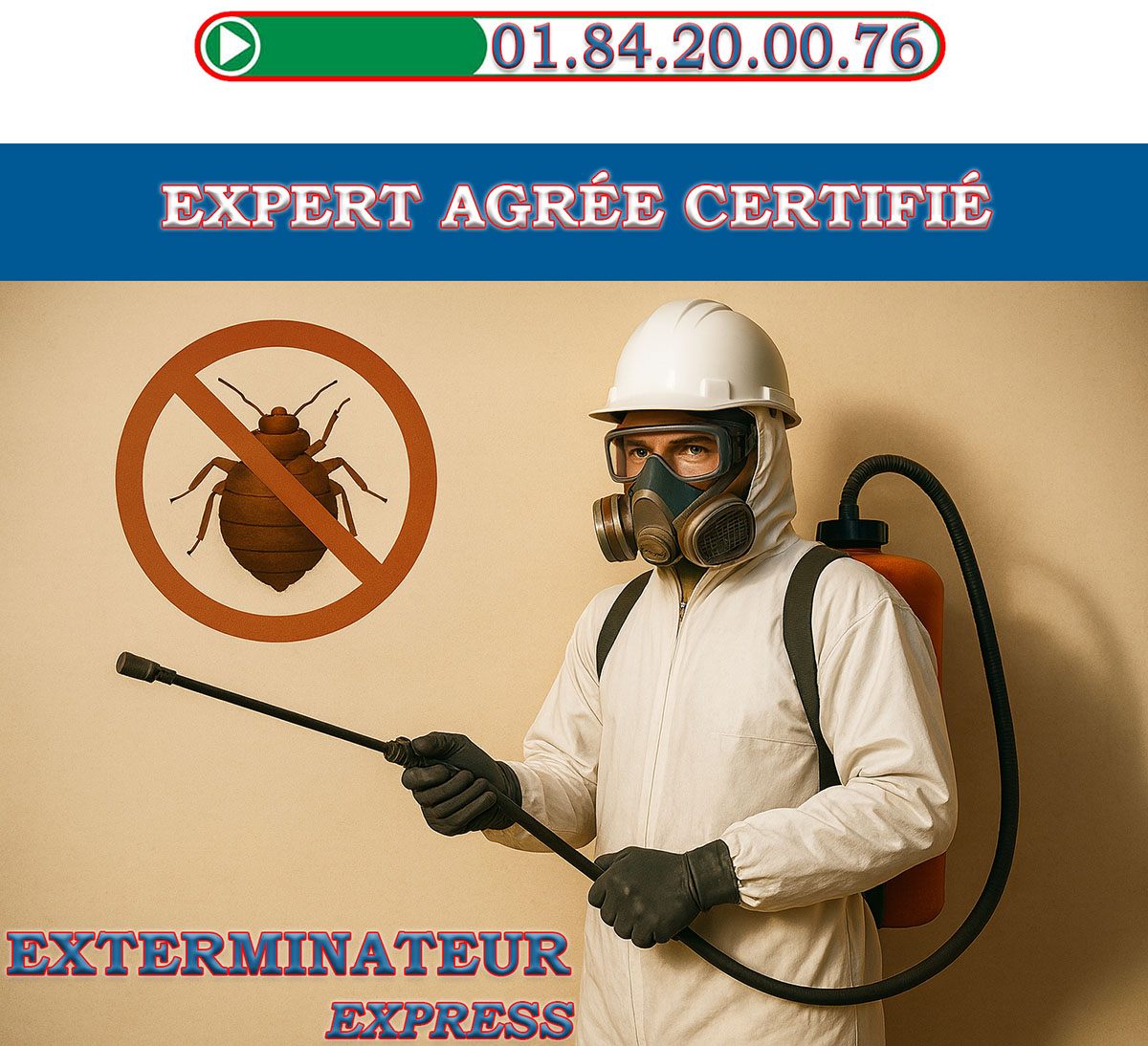 Punaises de Lit Antony